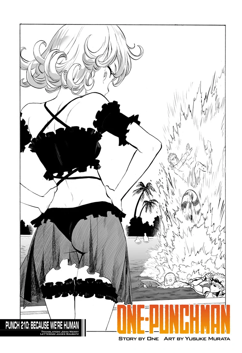 Read One-Punch Man EN Manga Online